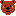 Bear face front