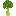 Broccoli single