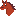 Horse head front