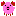 Pig front