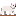 Polar bear standing