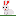 Rabbit sitting side